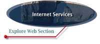 web section